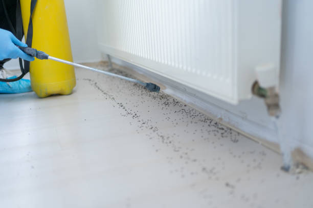 Best Commercial Pest Control Services  in Salisbury, NY