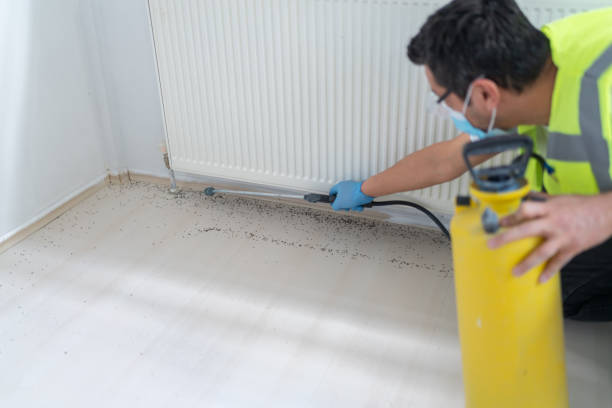 Trusted Salisbury, NY Pest Control Experts