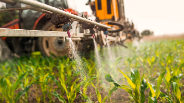 Best Ant Control Services  in Salisbury, NY