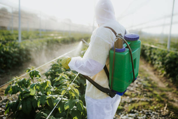 Best Best Pest Control Companies  in Salisbury, NY